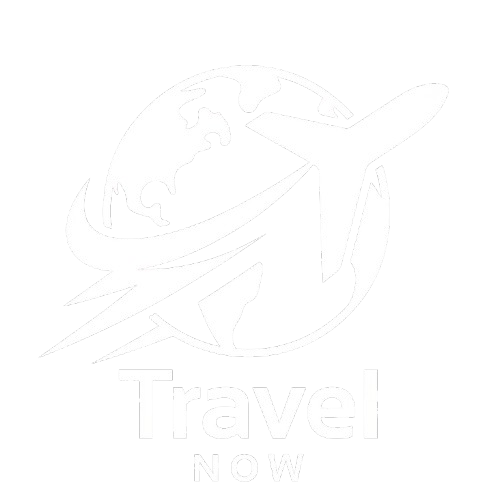 Travel Now Logo